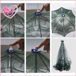 Lưới bắt cá bát quái