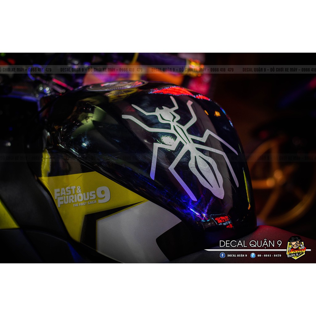 Thiết kế phong cách đường đua