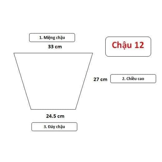 COMBO 5C CHẬU NHỰA ĐEN C12