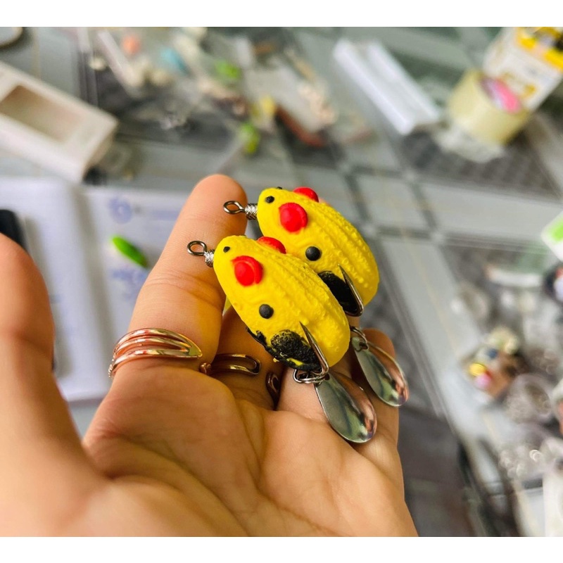 NHÁI HƠI CÓC MẮT LỒI