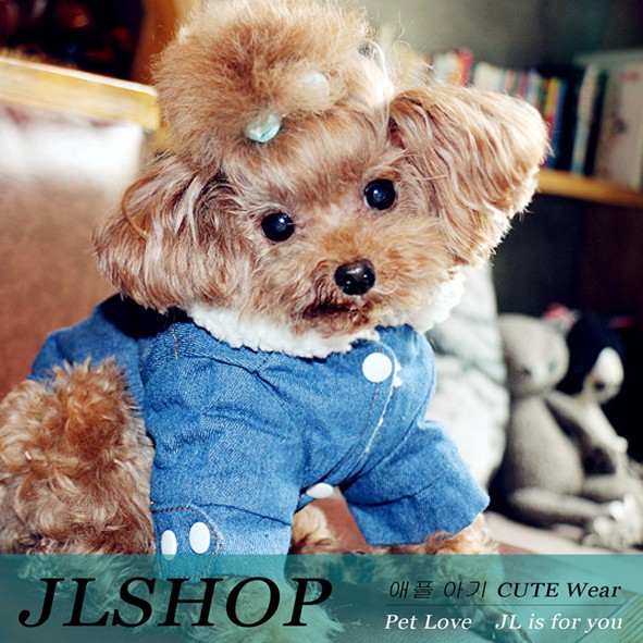 Áo khoác denim thiết kế thời trang cho thú cưng a2905