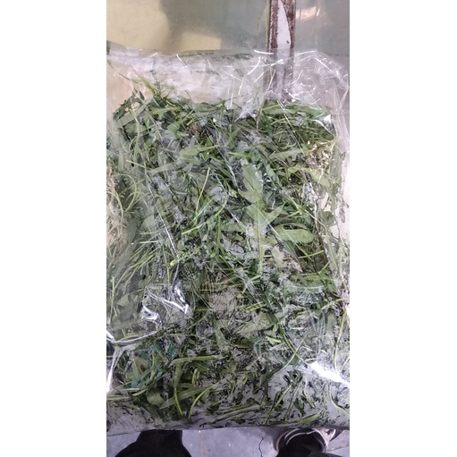 Lá xà lách Rocket tươi 100g/500g