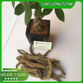 Tục Đoạn Tứ Xuyên  [ Hàng Thượng Phẩm ] To, Chắc, Mập