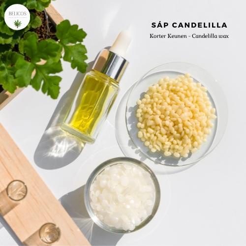 Sáp Candelilla (Mỹ) Koster Keunen - Sáp làm son môi, nguyên liệu mỹ phẩm
