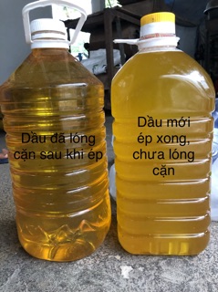 Dầu Đậu Phộng.