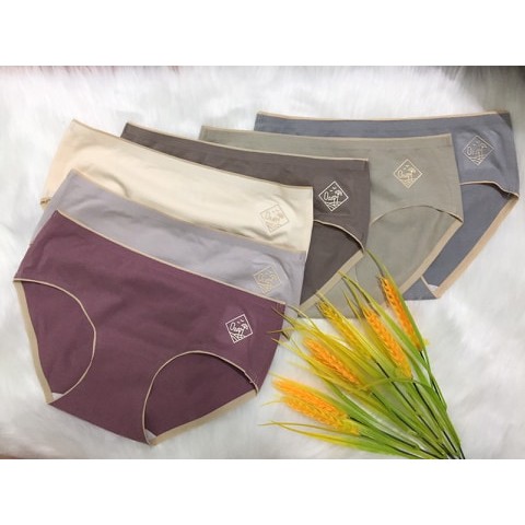 Quần lót nữ không đường may MIDORI đúc su thun lạnh cao cấp mềm mại kháng khuẩn CTKK01 | BigBuy360 - bigbuy360.vn