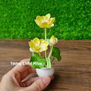 Chậu hoa sen vàng bằng đất sét Nhật y hình