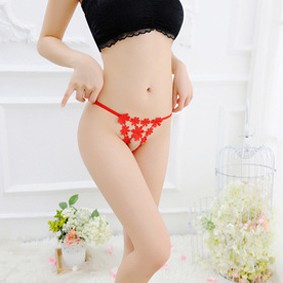 Quần lót nữ, quần lót lọt khe cotton sexy lưới gợi cảm thoáng mát | BigBuy360 - bigbuy360.vn