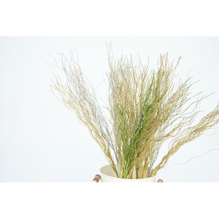 Cành liễu nhựa trang trí bàn tiệc