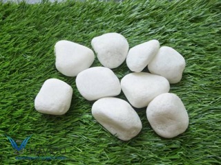 10kg Sỏi trắng dùng để trang trí