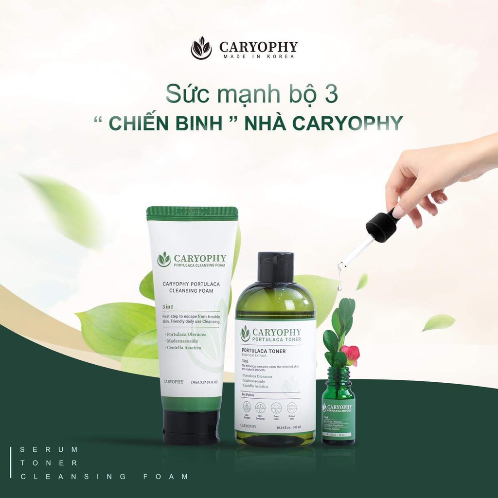 Combo làm sạch da, ngăn ngừa mụn và thâm Caryophy (Sữa rửa mặt 150ml + Toner 300ml + Serum 10ml) | BigBuy360 - bigbuy360.vn