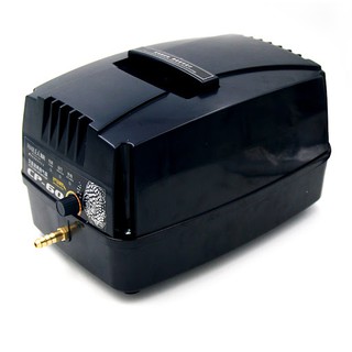 Oxi tích điện Hailea Cp60