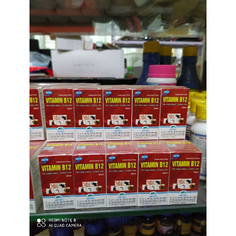 Vitamin B12 chống sốc, giải độc cho cây cảnh