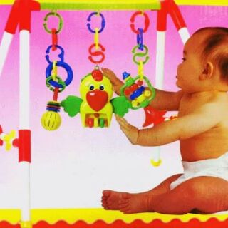 Kệ vẹt chữ A có nhạc
