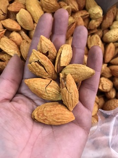 Hạt Hạnh Nhân Rang Bơ Loại 1 vỏ mỏng( hạt dẻ rừng)