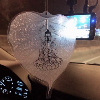 Xương lá Bồ Đề - size 8-9-10-11 (cm)