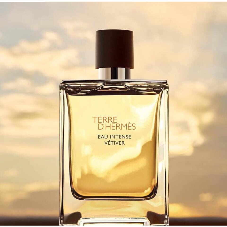 Nước Hoa Nam Hermes Terre D'Hermes Eau EDT 100ml Chính Hãng