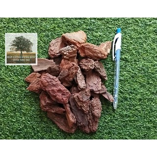 GIÁ THỂ TRỒNG LAN - VỎ THÔNG NEWZITA PLUS ĐÃ QUA XỬ LÝ HÀNG ĐẸP SIZE 18-30mm - 1KG