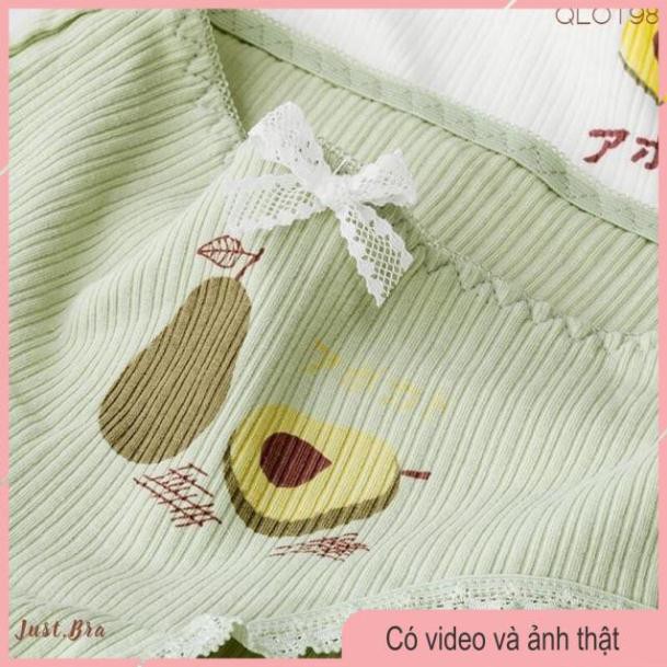 Quần Lót Nữ Quả Bơ Siêu CuTe ( Chọn Màu  ngẫu nhiên) | BigBuy360 - bigbuy360.vn