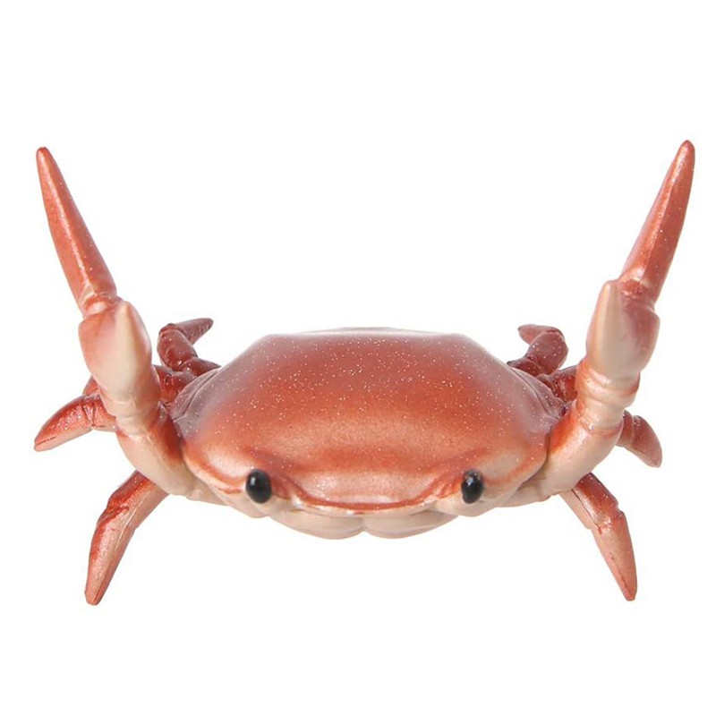 Giá Để Bút Hình Con Cua Dễ Thương