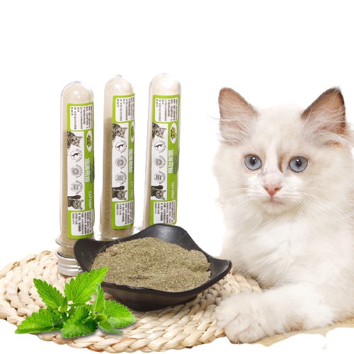 Cỏ Bạc Hà Mèo Catnip Hahale – Gói Catmint