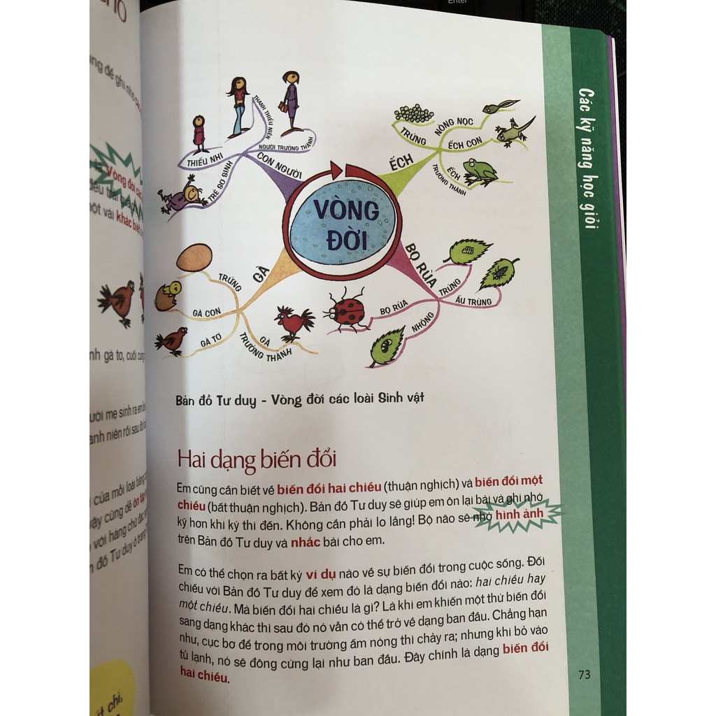 Sách - Combo Bản Đồ Tư Duy Cho Trẻ Thông Minh - Mind Maps For Kids (3 Quyển )