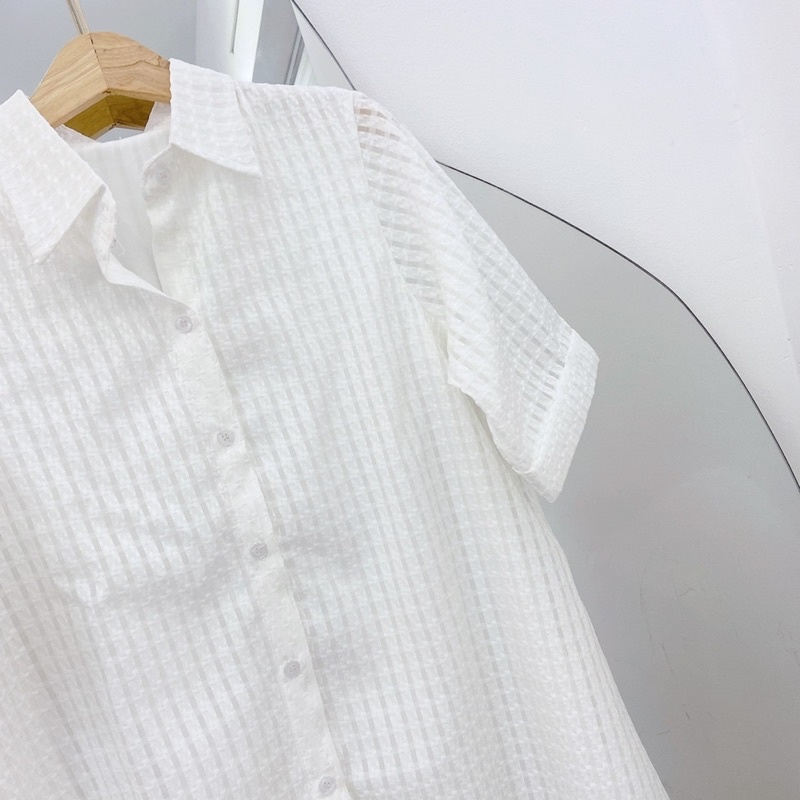 Đầm sơmi 2 Màu vải dày dặn