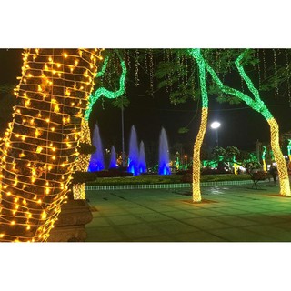 Led đúc F5 bọc nhựa chống nước ngoài trời trang trí quấn, thả cây ngoài trời