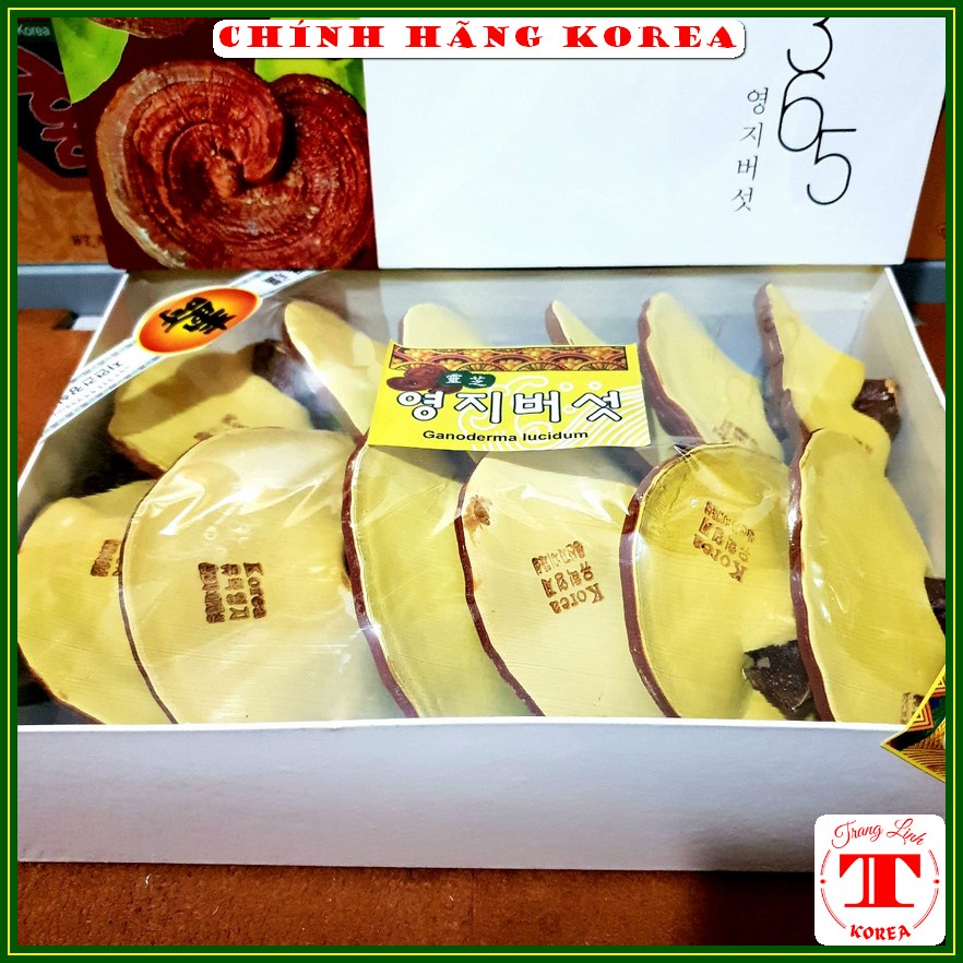 Nấm linh chi hàn quốc 365 thượng hạng - Nấm hộp trắng Vip 1kg - Thải độc, thanh lọc cơ thể, phòng ung thư - tranglinh