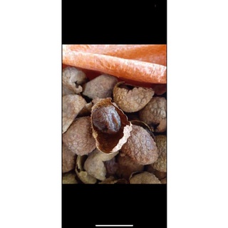 7,8kg vải sấy khô