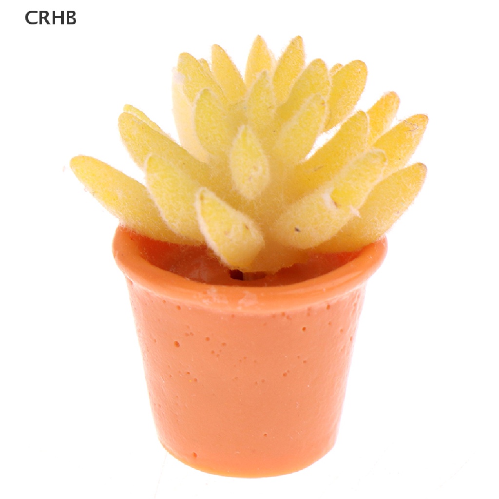 Bộ 5 Chậu Cây Trang Trí Nhà Búp Bê Tỉ Lệ 1: 12 Mới