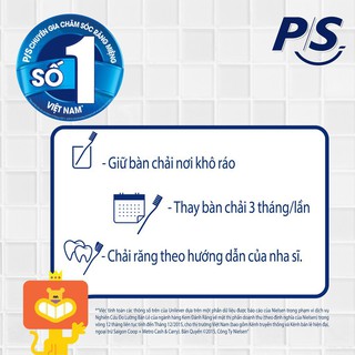 Bàn chải đánh răng P/s muối tre