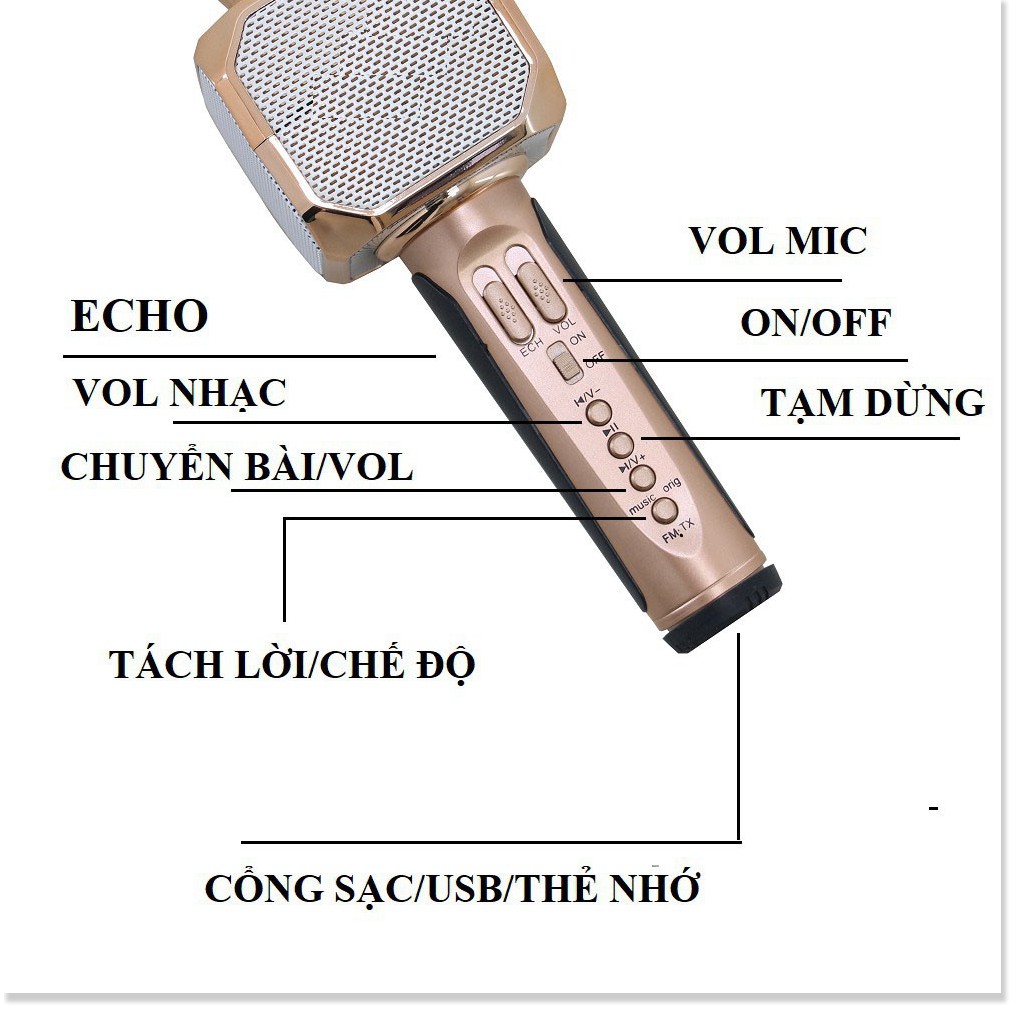 [Giá Gốc] Micro karaoke bluetooth SD-10, Mic kèm loa, bắt giọng tốt, nghe cực hay, bass âm chuẩn - Bảo hành 6 tháng