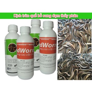 Dịch trùn quế cho lươn cá - Dịch trùn quế bổ sung đạm thủy phần trùn quế, Axit amin men tỏi hỗ trợ tiệu hóa tốt
