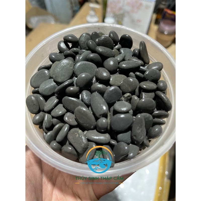 SỎI THÁI TRÃI NỀN HỒ CÁ TÉP BỊCH 1kg