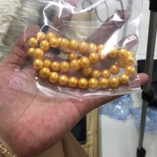 Trang sức mĩ kí(tranhongle