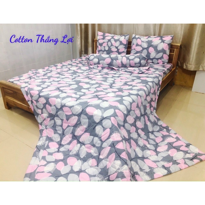 SET 5 MÓN {Size Drap 1m6} VẢI COTTON Thắng Lợi 100% chat chọn mẫu