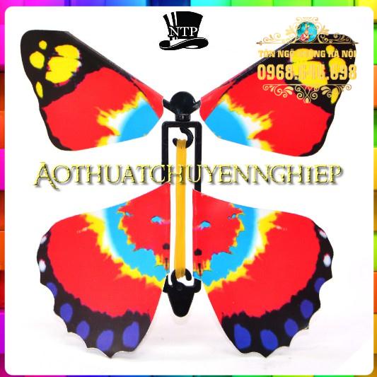 Ảo thuật bướm bay từ sách - Butterfly Magic Book  Set 5 con