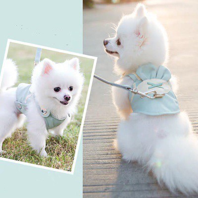 Áo dây dắt cute cho chó mèo ( tặng kèm dây dắt)