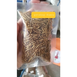 Sâu trung rang cho hamster, sóc, nhím