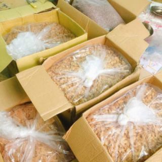 Dừa Sấy Giòn