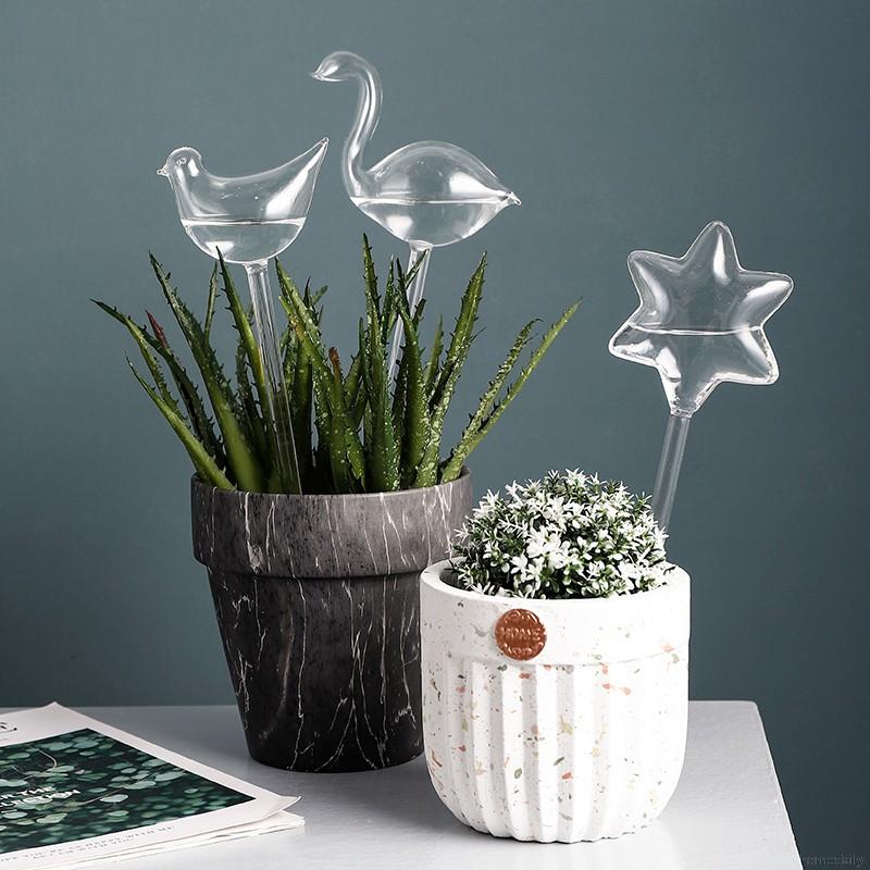 Bình nước tự tưới cây thuỷ tinh 12 loại tùy chọn tiện lợi