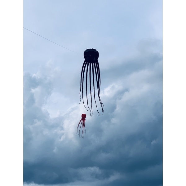 Diều bạch tuộc 3D khủng siêu đẹp 8m - 1,4m  màu đỏ .