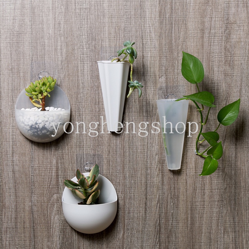 Bình Hoa Treo Tường Thiết Kế Dễ Thương Có Móc Tiện Dụng Trang Trí Nhà Cửa/ Văn Phòng