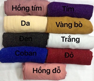 áo nhũ thời trang