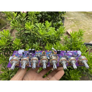 pre loa kéo dual echo cực chất 12VDC
