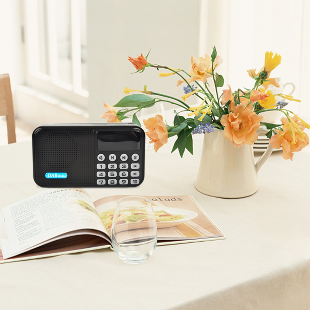 Loa Bluetooth Kĩ Thuật Số Dab / Dab Có Thể Sạc Được Kèm Phụ Kiện | BigBuy360 - bigbuy360.vn