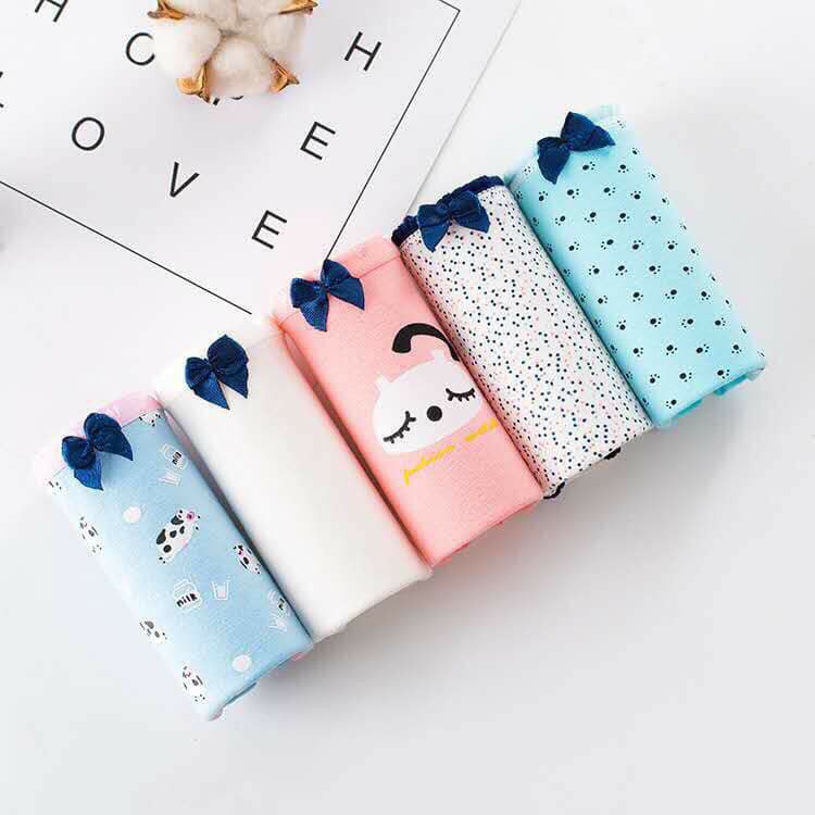 Quần lót học sinh chất cotton họa tiết dễ thương set 5c