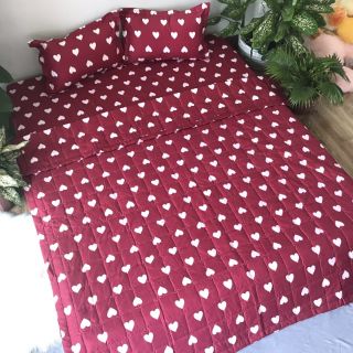 Chăn Ga gối cotton poly