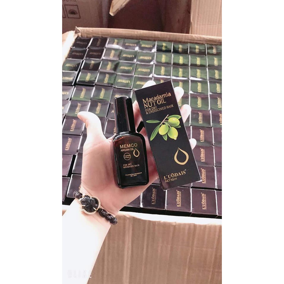 Tinh Dầu Dưỡng Tóc Maca Damia Nut Oil,Thấm vào tóc nhanh và nuôi dưỡng từ lõi tóc | BigBuy360 - bigbuy360.vn